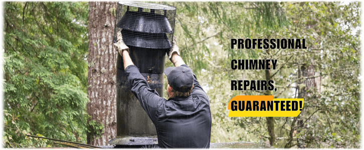 Chimney Repair Washington DC